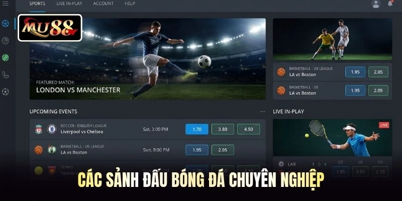 Các sảnh đấu bóng đá chuyên nghiệp